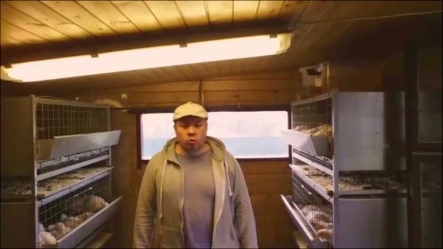 Способы кормления бройлеров. Корма. смотреть онлайн