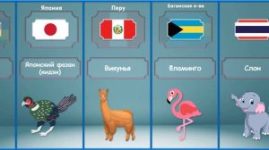 Символы стран. Животные.