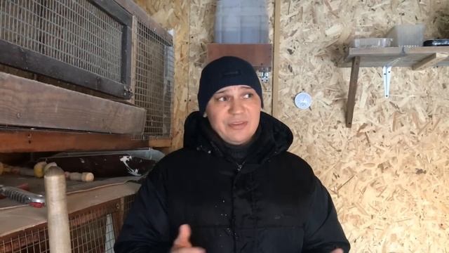 Про Несменяемую ПОДСТИЛКУ Откровенно!!! Живые бактерии: плюсы и минусы!!! смотреть онлайн