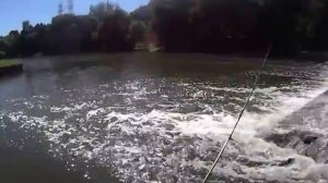 Microfishing - ловля на каролину