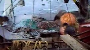 Сытый голодному не товарищ!