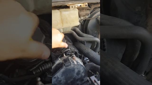 Картерные газы Iveco daily 2.3 смотреть онлайн