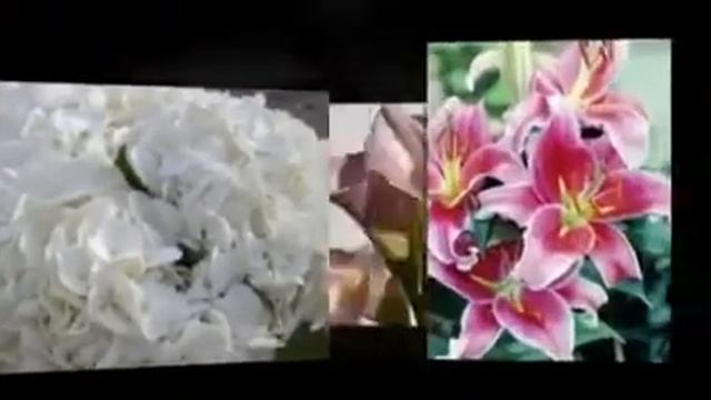 Wedding flowers arlington texas смотреть онлайн