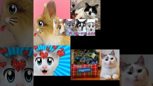 а ну ка давай ка