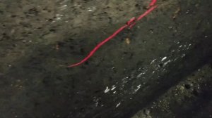 Копка ровной смотровой ямы с помощью лазерного уровня .