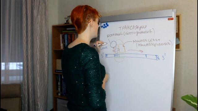 Матричные синтезы: трансляция (часть 4) смотреть онлайн