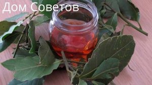 Об этом Мало кто Знает! Можно просто Заварить Лавровый Лист и избавиться от 100 Болезней!
