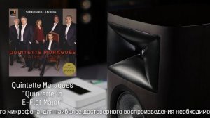 Сетевой проигрыватель Bluesound Powernode N330 с акустикой JBL Studio 698