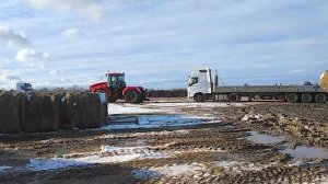 Что он делает наверху? Сколько весит рулон? Как погрузить и увезти 25 тонн сена? Грузим сено, много