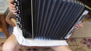 Баян Цельнопланочный