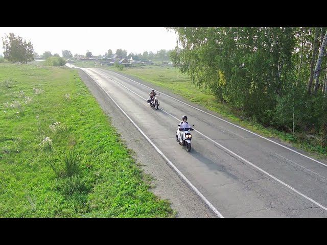 Тырчик и Дафна гуляют. смотреть онлайн