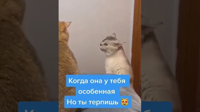 ну точно про женщин