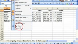 Excel 2003 Tutorial Switching to Full Screen View Microsoft Training Lesson 14.6