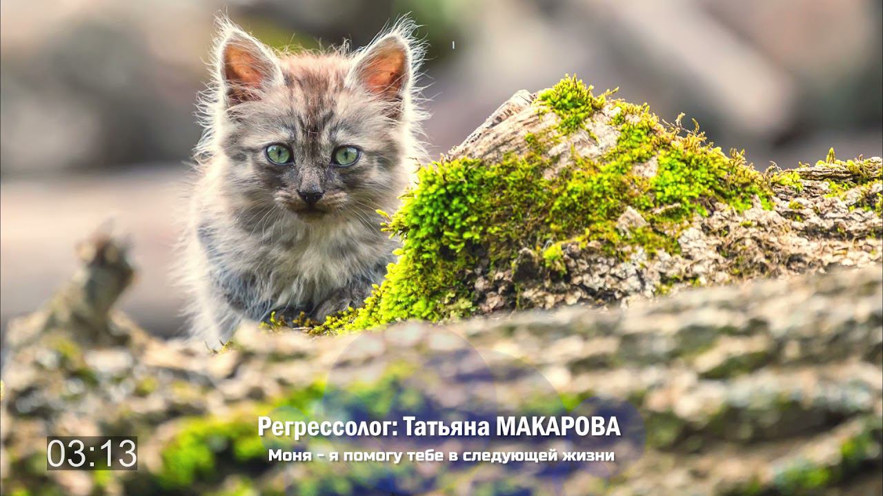 Я и Моня | Фрагмент сеанса регрессии Татьяны Макаровой