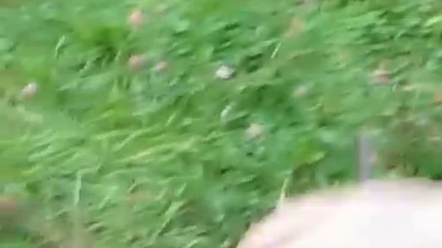 Огниво. Как правильно разжигать огонь.