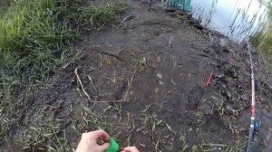 Рыбалка на карася весной! Карась на маховую удочку,на поплавок (май 2019)