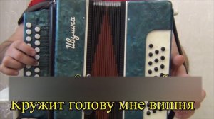 Расцвела в садочке вишня // разбор на гармони