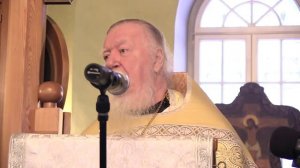 Проповедь на Неделю 29-ю по Пятидесятнице, по Рождестве Христовом. Святки. Димитрий Смирнов