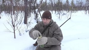 СТРЕЛЯЮ САМКУ ТЕТЕРЕВА ЧТОБЫ ОТПИСАЛИСЬ ИЗВРАЩЕНЦЫ / ОХОТА НА КОСАЧЕЙ С МЕЛКАШКОЙ. ОДИН ДЕНЬ В ТАЙГ