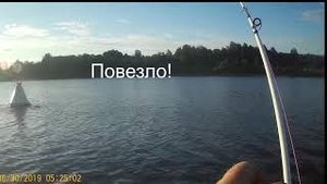 Волхов. 30.06. 2019г. Мой первый репортаж на экшен камеру! #троллинг #волхов