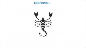 Знаки Зодиака. Скорпион.