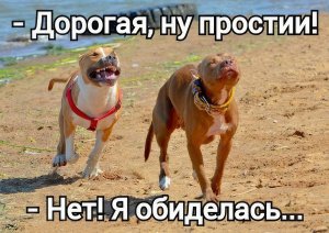 Я обиделась