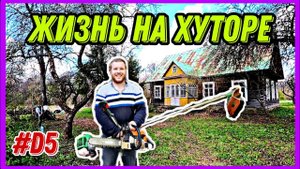 Восстановление хутора. Уборка продолжается. Приезжали гости. #хутор #хочувдеревню #усадьба