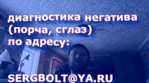 если птица стучит в окно - какая примета и что делать (воробей, голубь и прочие птицы)