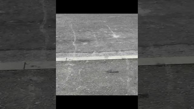 «Мусорная» борьба в ЖК Малина, Новороссийск