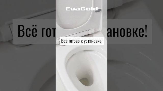 Вся правда об унитазах-моноблоках EvaGold