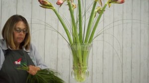 How to Make a Showstopper Amaryllis Arrangement- Triangle Nursery Wholesale Flowers and Academy