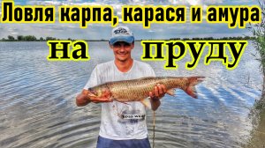 РЫБАЛКА НА КАРПА/ЛОВЛЯ КАРПА, КАРАСЯ И ТРОФЕЙНОГО АМУРА/ ПЛАТНЫЕ ОЗЁРА/РЫБАЛКА НА ПЛАТНИКЕ/САМАРА