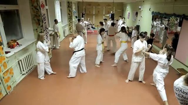 Боевое искусство Киокушинкай смотреть онлайн