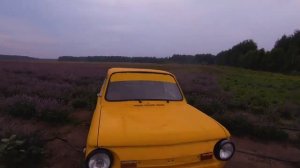 ГОМЕЛЬСКИЙ ПРОВАНС ПОД ВЕТКОЙ | ЛАВАНДОВОЕ ПОЛЕ | ФОТОСЕССИЯ В ЛАВАНДЕ