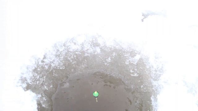 мухтар 15 в деле смотреть онлайн