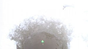 мухтар 15 в деле