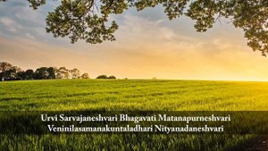 Annapurna Stotram || Powerful Hymn Of Goddess Annapurna || Annapurna Stotram With Lyrics ||