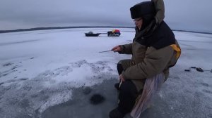 Где в январе Ловить Окуня, когда совсем не Клюёт.  Делимся секретами.