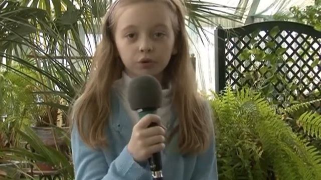 Что такое сотрудничество?