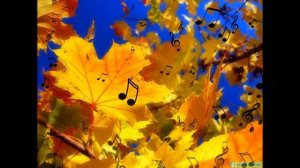 Любимое время года   осень