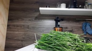 Тест моей соковыжималки для пшеницы. Как выдавить Витграсс
