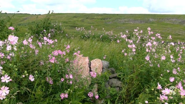 Патăрьел районĕ 90 çул тултарнине халаласа... смотреть онлайн
