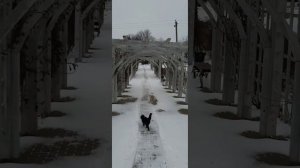 ✔️ Географический центр Белгородской области.