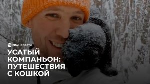 Усатый компаньон: путешествия с кошкой