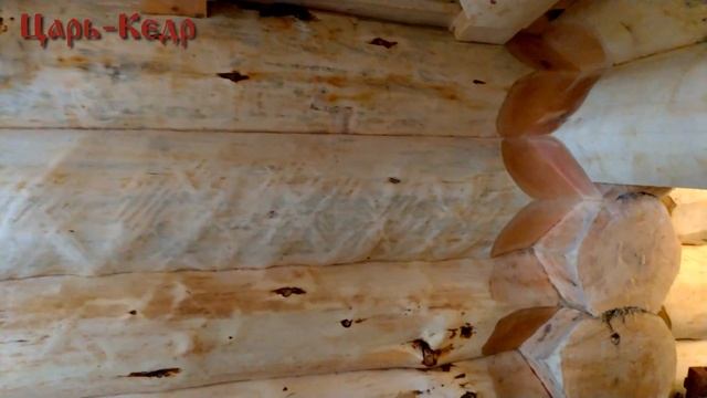 Баня из кедра большого диаметра. Огромная кедровая баня.