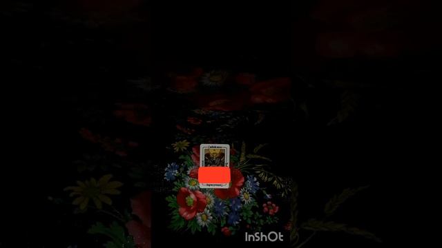 Карта дня 04.11.23 смотреть онлайн