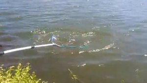 Платная рыбалка в Татарстане. Хрустальное озеро.