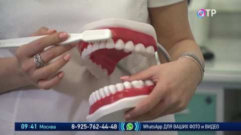 Что мы знаем про зубы?