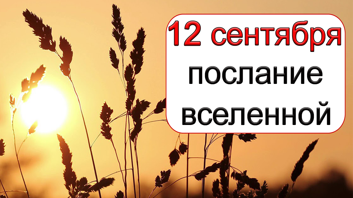 ПОСЛАНИЕ ВСЕЛЕННОЙ на 12 сентября.*Эзотерика Для Тебя*