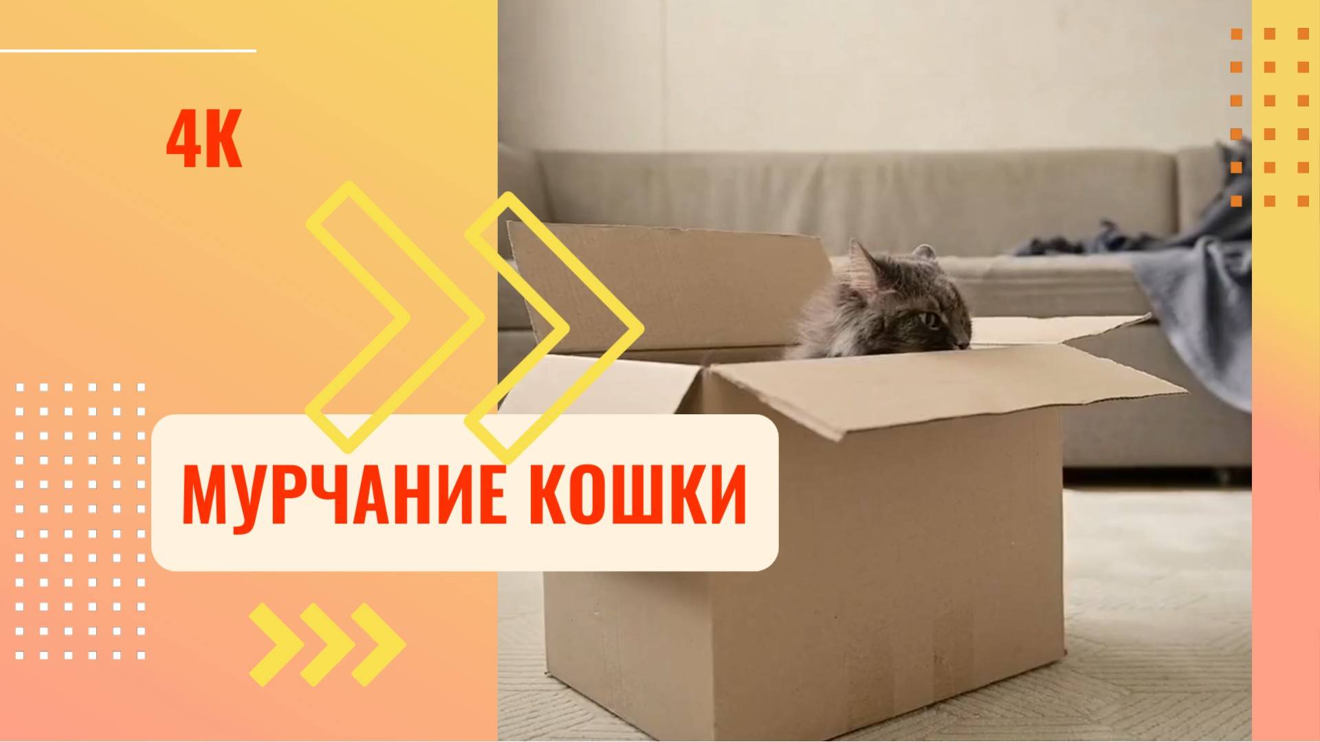 Мурчание кошки, успокаивающе и уютное